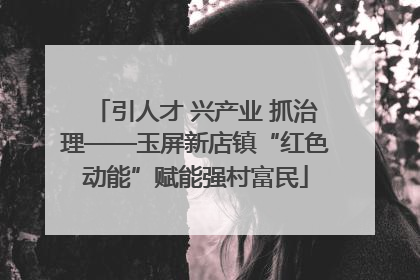 引人才 兴产业 抓治理——玉屏新店镇“红色动能”赋能强村富民