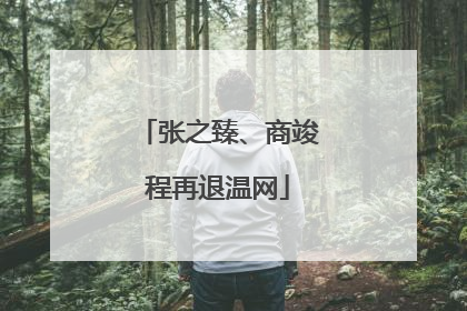 张之臻、商竣程再退温网
