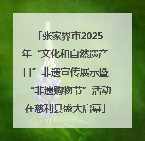 张家界市2025年“文化和自然遗产日”非遗宣传展示暨“非遗购物节”活动在慈利县盛大启幕