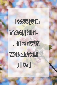 张家楼街道深耕细作，推动传统畜牧业转型升级