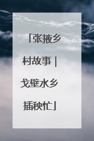张掖乡村故事｜戈壁水乡插秧忙