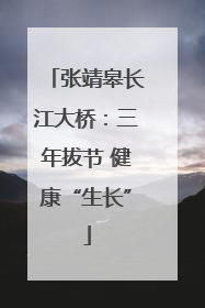 张靖皋长江大桥：三年拔节 健康“生长”