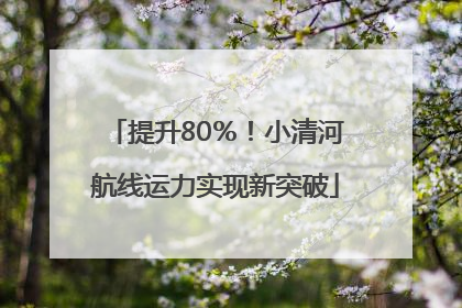 提升80％！小清河航线运力实现新突破