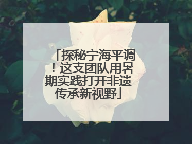 探秘宁海平调！这支团队用暑期实践打开非遗传承新视野