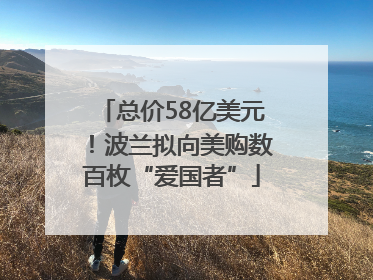 总价58亿美元！波兰拟向美购数百枚“爱国者”