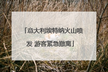 意大利埃特纳火山喷发 游客紧急撤离