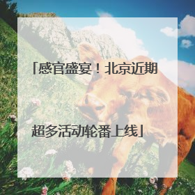 感官盛宴！北京近期超多活动轮番上线