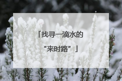找寻一滴水的“来时路”