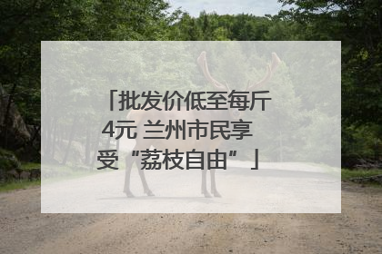 批发价低至每斤4元 兰州市民享受“荔枝自由”