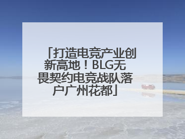 打造电竞产业创新高地！BLG无畏契约电竞战队落户广州花都