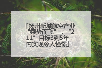 扬州新城航空产业“乘势而飞”，“211”目标3到5年内实现令人憧憬