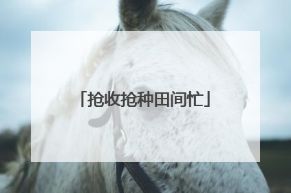 抢收抢种田间忙