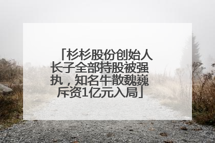 杉杉股份创始人长子全部持股被强执，知名牛散魏巍斥资1亿元入局