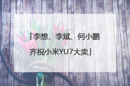 李想、李斌、何小鹏齐祝小米YU7大卖