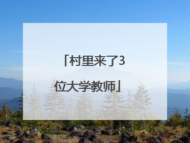 村里来了3位大学教师