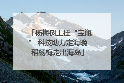 杨梅树上挂“宝瓶” 科技助力定海晚稻杨梅走出海岛
