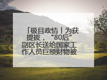 极目政情丨为获提拔，“80后”副区长送给国家工作人员巨额财物被“双开”