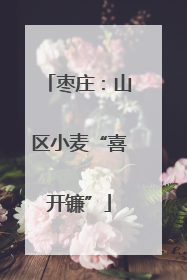 枣庄：山区小麦“喜开镰”