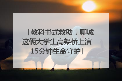 教科书式救助，聊城这俩大学生高架桥上演15分钟生命守护