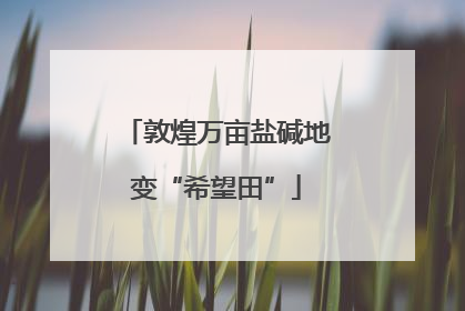 敦煌万亩盐碱地变“希望田”