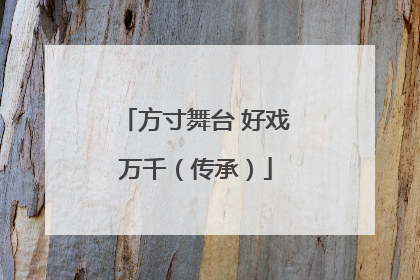 方寸舞台 好戏万千（传承）