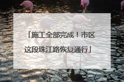 施工全部完成！市区这段珠江路恢复通行