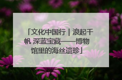 文化中国行｜浪起千帆 深蓝宝藏——博物馆里的海丝遗珍