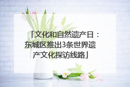 文化和自然遗产日：东城区推出3条世界遗产文化探访线路