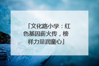 文化路小学：红色基因薪火传，榜样力量润童心