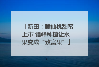 新田：脆仙桃甜蜜上市 错峰种植让水果变成“致富果”