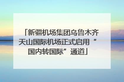 新疆机场集团乌鲁木齐天山国际机场正式启用“国内转国际”通道