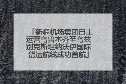 新疆机场集团自主运营乌鲁木齐至乌兹别克斯坦纳沃伊国际货运航线成功首航