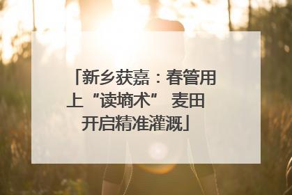新乡获嘉：春管用上“读墒术” 麦田开启精准灌溉