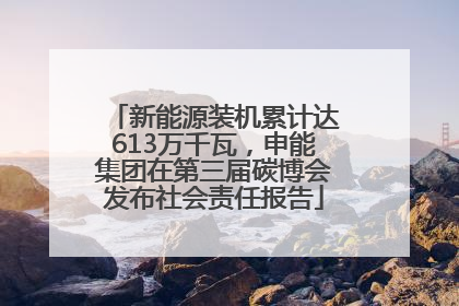 新能源装机累计达613万千瓦，申能集团在第三届碳博会发布社会责任报告