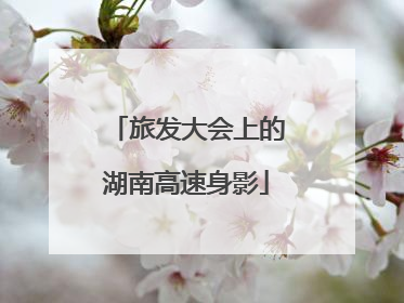 旅发大会上的湖南高速身影