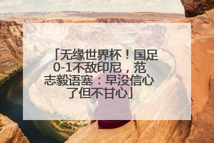无缘世界杯！国足0-1不敌印尼，范志毅语塞：早没信心了但不甘心
