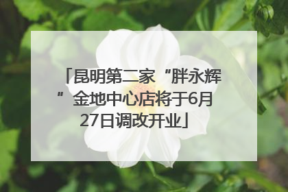 昆明第二家“胖永辉”金地中心店将于6月27日调改开业