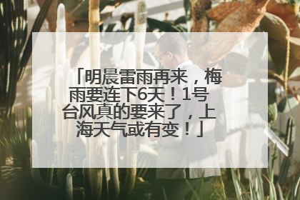 明晨雷雨再来，梅雨要连下6天！1号台风真的要来了，上海天气或有变！