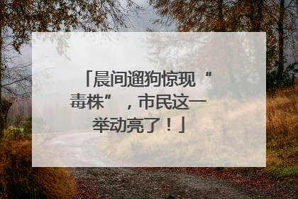 晨间遛狗惊现“毒株”，市民这一举动亮了！