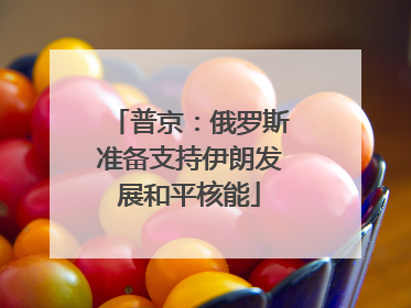 普京：俄罗斯准备支持伊朗发展和平核能
