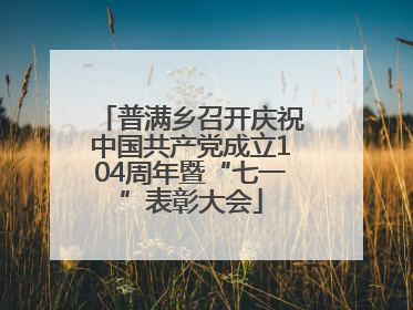 普满乡召开庆祝中国共产党成立104周年暨“七一”表彰大会