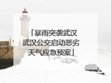 暴雨突袭武汉 武汉公交启动恶劣天气应急预案