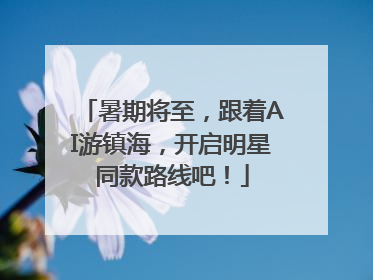 暑期将至，跟着AI游镇海，开启明星同款路线吧！