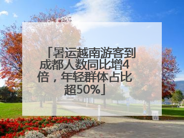暑运越南游客到成都人数同比增4倍，年轻群体占比超50%