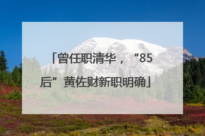 曾任职清华，“85后”黄佐财新职明确