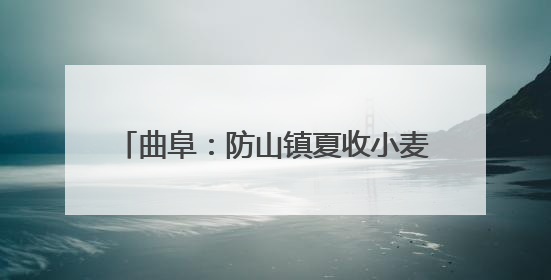 曲阜：防山镇夏收小麦实现烘干“不过夜”