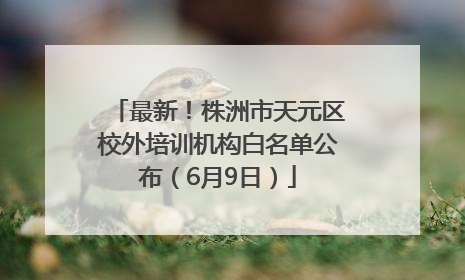 最新！株洲市天元区校外培训机构白名单公布（6月9日）