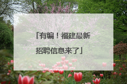 有编！福建最新招聘信息来了