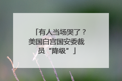 有人当场哭了？美国白宫国安委裁员“降级”
