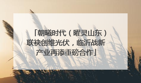 朝曦时代（曜灵山东）联袂创维光伏，临沂战新产业再添重磅合作